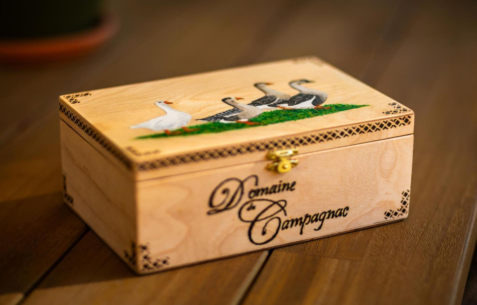 Domaine De Campagnac - Spa & Sauna 카르삭아일락 외부 사진